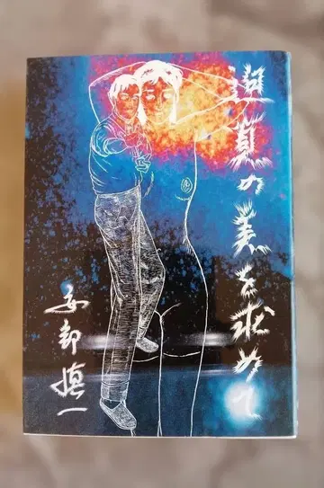 박진감 넘치는 아름다움을 추구하며 신이치 아베