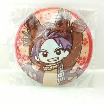 FAIRY TALE 페어리 테일 나츠 캔뱃지