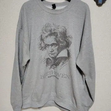 GILDAN 베토벤 프린트 맨투맨 L 사이즈