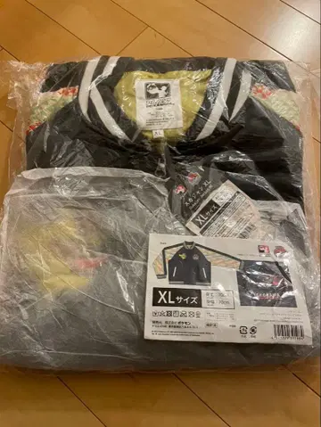 포켓몬 월드 챔피언쉽 2023 스카잔 피카츄 요코하마 XL