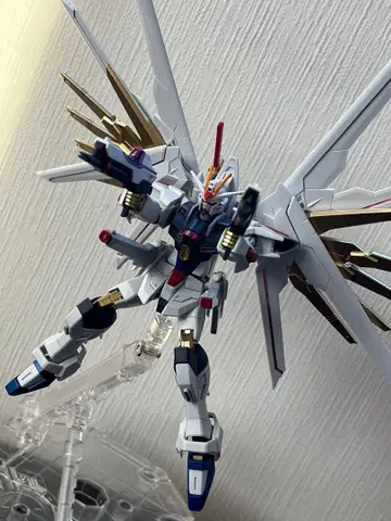 HG 1/144 마이티 스트라이크 프리덤 건담 완성품