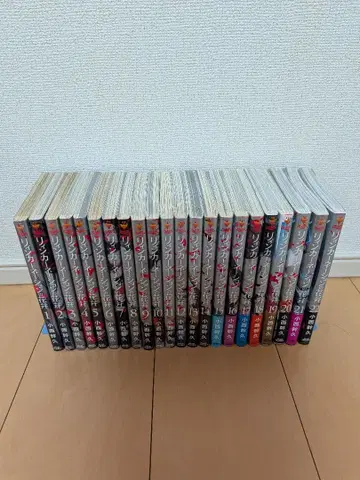 리인카네이션의 꽃잎 22권 세트