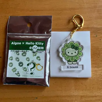 오사카 만박 해조 키티 키링 B.braunii 일본관 보트리오코쿠스