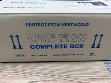 사카낙션 LIVE FISH 주말 한정 가격