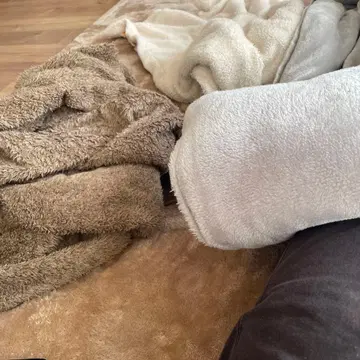 BALR. 그레이 M 트레이닝복 박스 포함