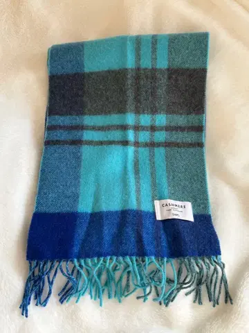 SHIPS 머플러 체크