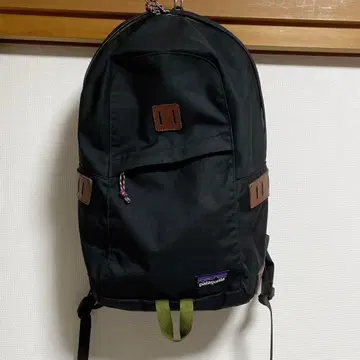 파타고니아 백팩 patagonia