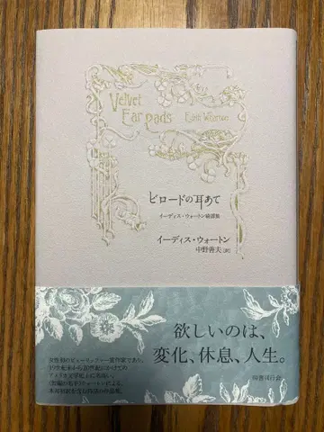 비로드의 귀도리 : 이디스 워튼 비망록