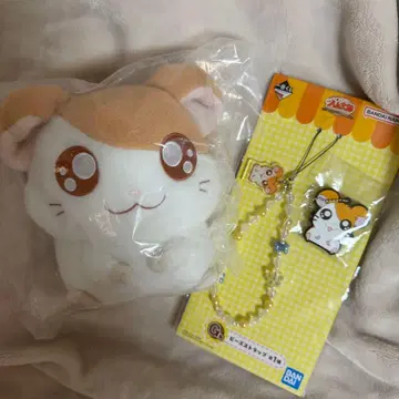 햄 제일복권 3세트