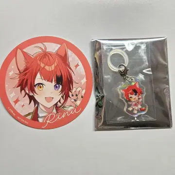 스토푸리 리이누군 오로라 참 스이파라 코스터