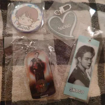 EXILE THE REASON 이와야 쇼고 가챠 메지루시 택 외