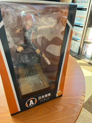 [Happy 복권] 히나타 쇼요 피규어 [하이큐!!]