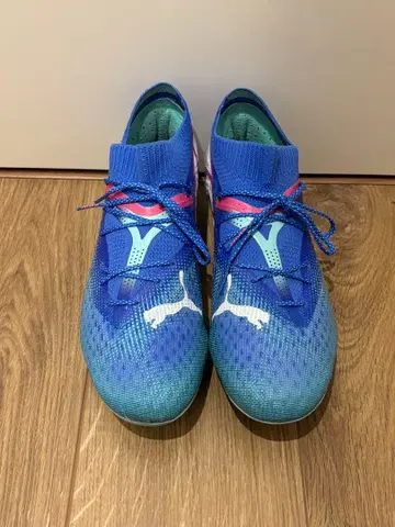 푸마 퓨처 얼티밋 fg/ag