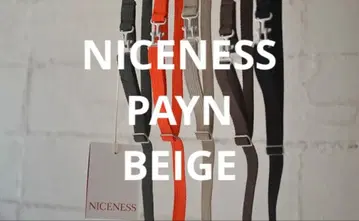NICENESS PAYN BEGIE