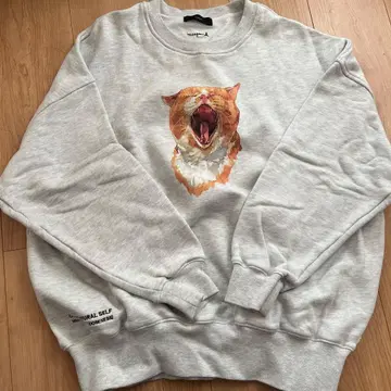 harapeco 하라페코 상점 eve