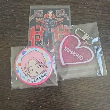 야마모토 쇼고 THE REASON