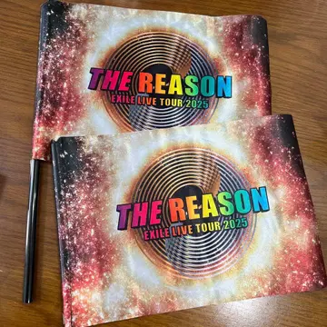 THE REASON EXILE LIVE TOUR 2025 플래그