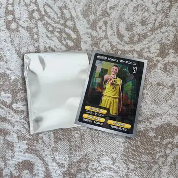 산로커스 시부야 B리그 조쉬 호킨슨 카드