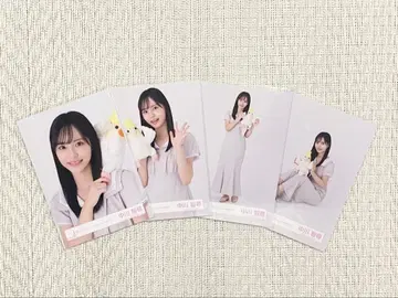 사쿠라자카46 나카가와 치히로 First Showcase 첫 공개