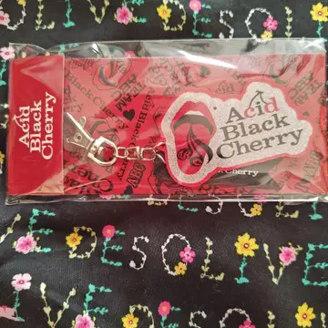 AcidBlackCherry 아크릴 키링