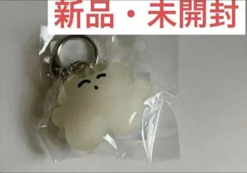 카네코 아야노 축광 키링 새상품 미개봉