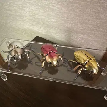 생물대도감 플라티나 풍뎅이 골드 레드 실버