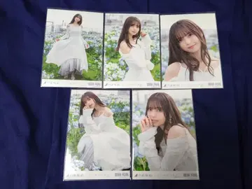 노기자카46 사이토 아스카 여기에는 없는 것 선발ver. 개별 5종