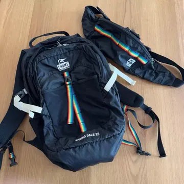 CHUMS 스프링 데일 25 백팩 블랙