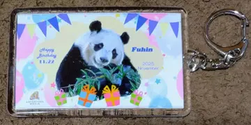 어드벤처 월드 키링 11월 한정판 후우힌