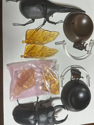 생물대도감 장수풍뎅이 사슴벌레