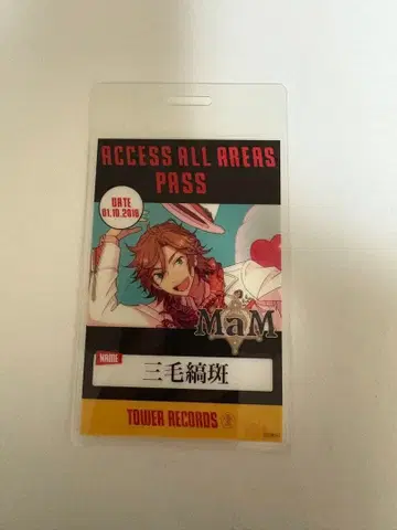 미케지마 마다라 타워 레코드 백스테이지 패스