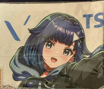 브이스포! 츠무기 코카게 리버서블 크로스