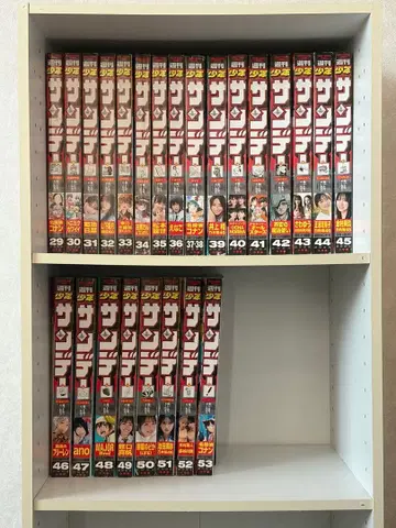 주간 소년 선데이 2024년 29~53호 24권