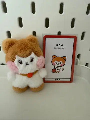 IVE MINIVE minini 봉제 인형 Cheez 리즈