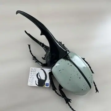 헤라클레스 장수풍뎅이 피규어