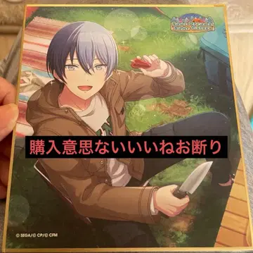 프로세카 아오야기 토야 색지 캠핑 미라이 17C