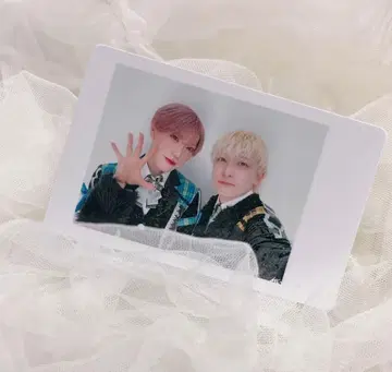 팬더 드래곤 혼합 하피카 타이거 요우타