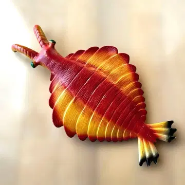 아노말로카리스 모형 약 30cm