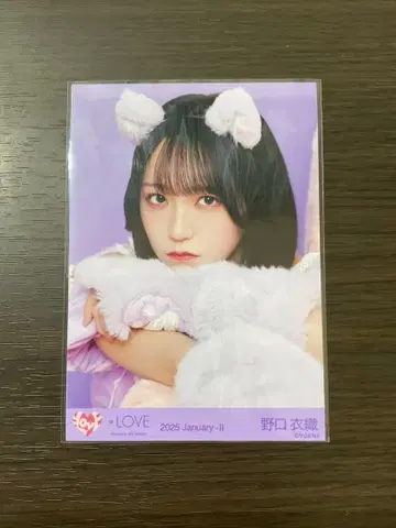 이코러브 노구치 이오리 브로마이드 고양이 의상