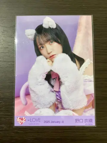 이코럽 노구치 이오리 브로마이드 고양이 의상