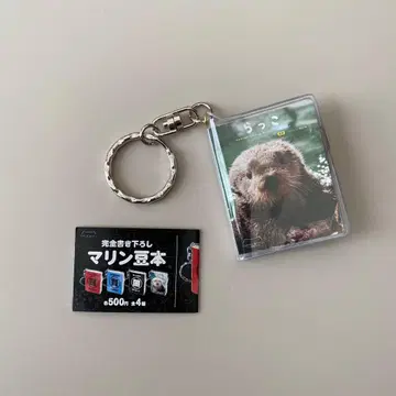 마린 월드 콩도서 랏코 랏코도서 수족관 가챠 레어 바다의 길 리로