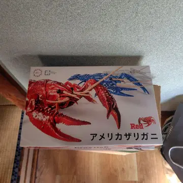 미국 가재와 사슴벌레 모형 세트