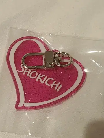 EXILE SHOKICHI 라메 네임 키링