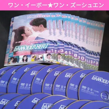 중국 드라마 GANKYOURHEART DVD 전권 왕이보 렌탈 낙