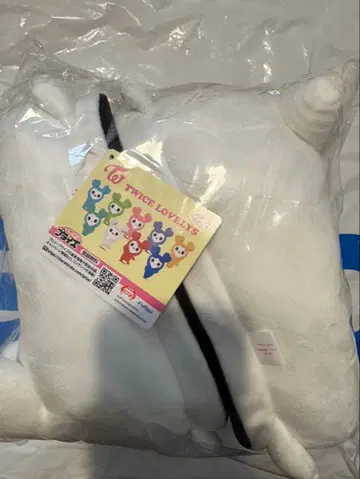 TWICE 룸슈즈 다현