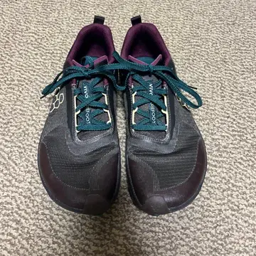 비보 베어풋 프라이머 레일 플로우