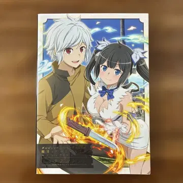 던전에서 만남을 추구하면 안 되는 걸까 메모리얼북