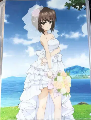 안코 축제 2025 걸즈 앤 판처 커튼혼 특전 클리어 파일 니시즈미 마호