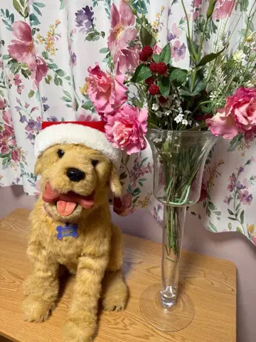 꿈꾸는 강아지 DX 골든 리트리버 (작동품)