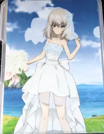 안코 축제 2025 걸즈 앤 판처 커튼혼 특전 클리어 파일 이츠미 에리카